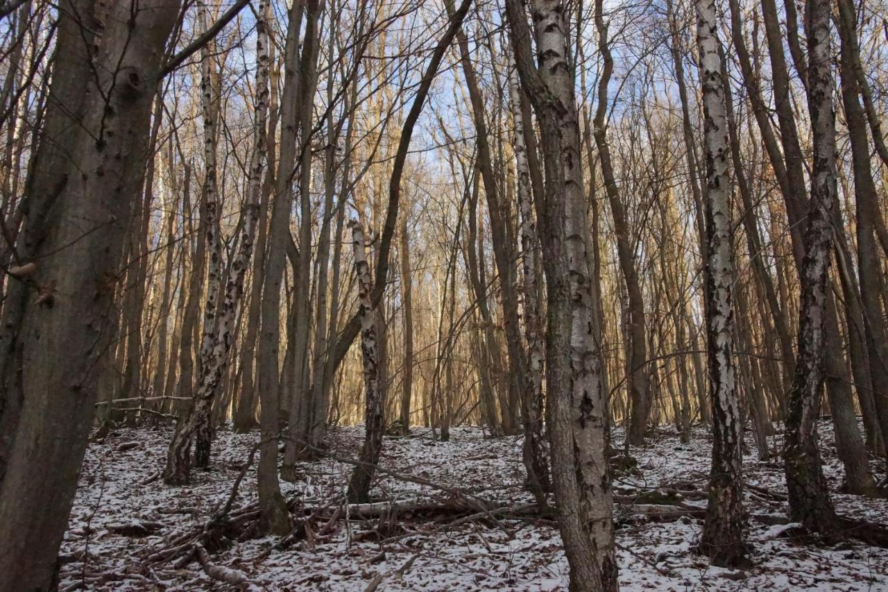 Gaestehaus Koehler Waldsolms Екстериор снимка