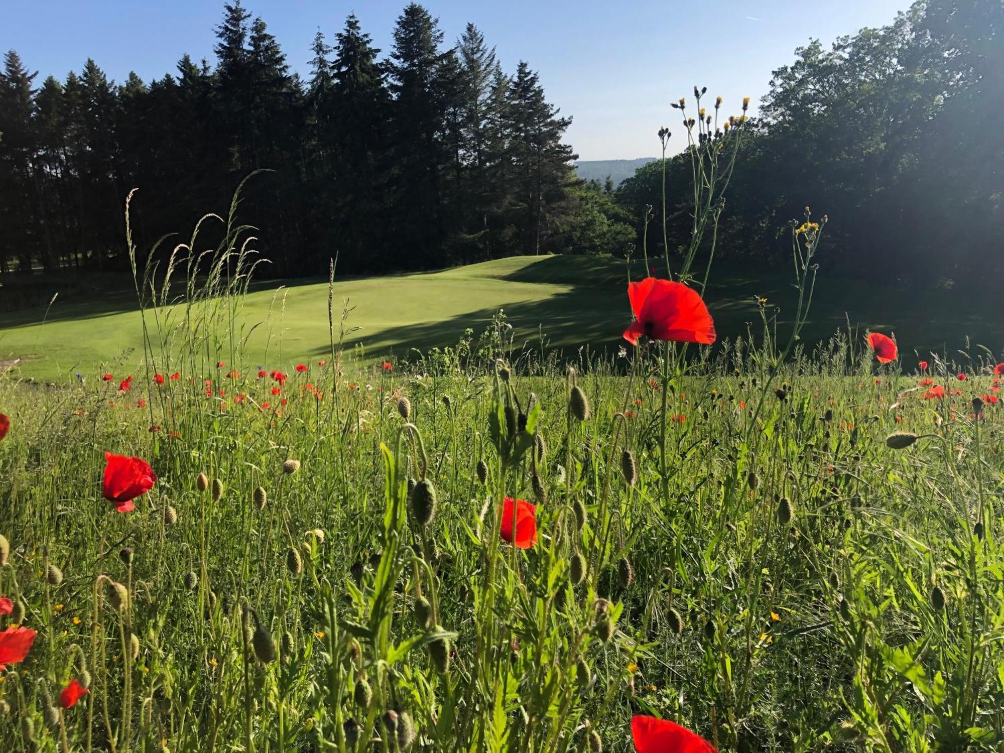 Gaestehaus Koehler Waldsolms Екстериор снимка